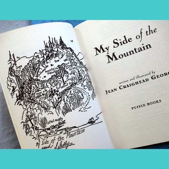 Book: My Side of the Mountain, written & illustrated by Jean Craighead George - Picture 2 of 15